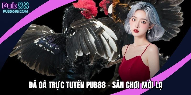 Đá gà trực tuyến PUB88