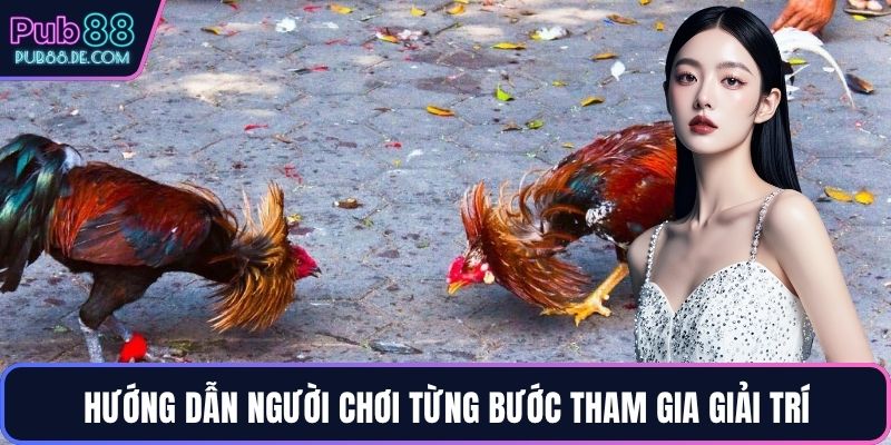 Hướng dẫn người chơi từng bước tham gia giải trí